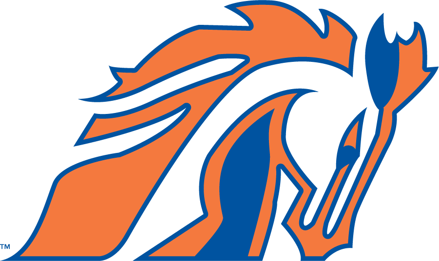Boise State Broncos 1981-1983 Secondary Logo iron on transfers for T-shirts
